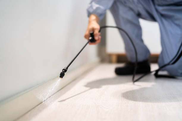 Licensed Fumigation Services service in Indian River County County, FL - Nex Pest Control